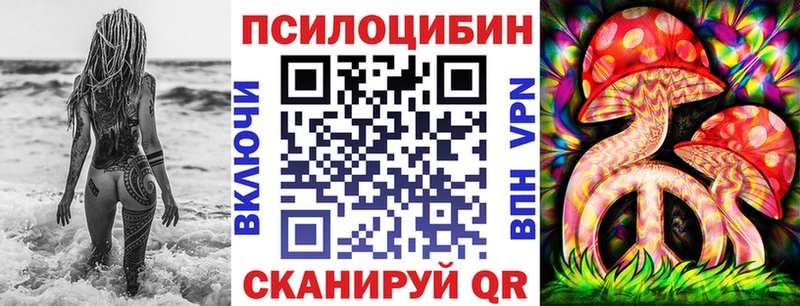 Галлюциногенные грибы Psilocybe  Кимры 
