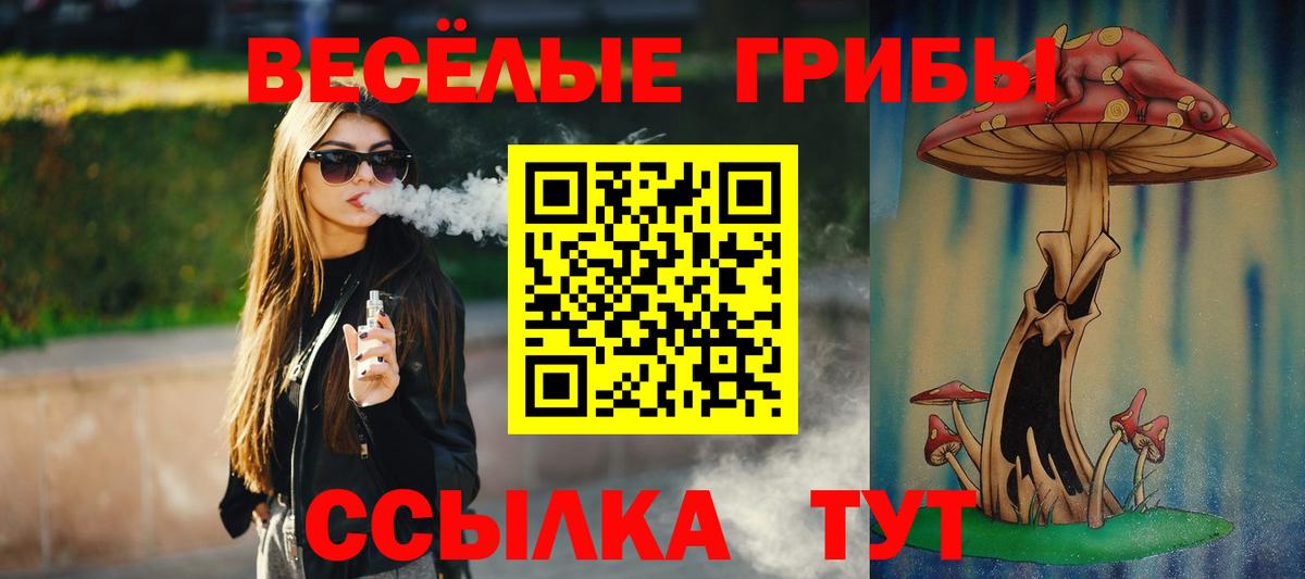 купить закладку  Вход с VPN  Кимры  Галлюциногенные грибы Psilocybine cubensis 