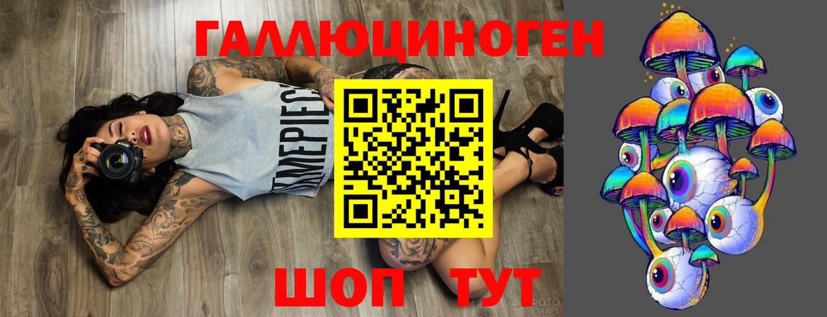 Псилоцибиновые грибы Psilocybine cubensis Кимры